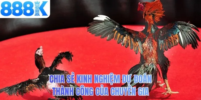 Chia sẻ kinh nghiệm dự đoán thành công của chuyên gia
