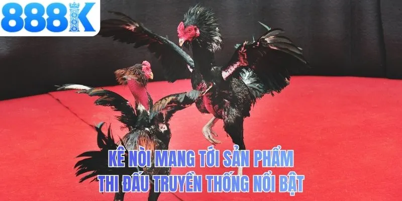 Kê nòi mang tới sản phẩm thi đấu truyền thống nổi bật