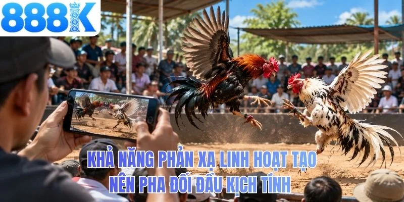 Khả năng phản xạ linh hoạt tạo nên pha đối đầu kịch tính